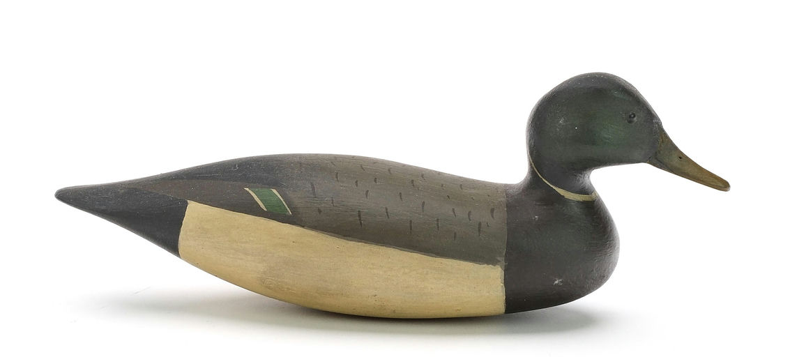 Bob White – Miniature Mallard – 2024
