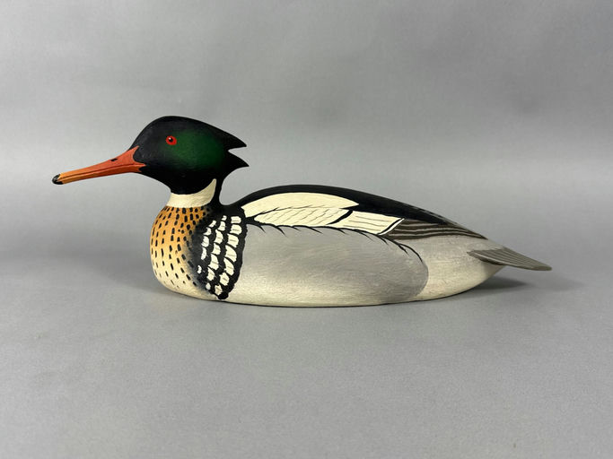 Oliver Lawson – Red-breasted Merganser – 2026