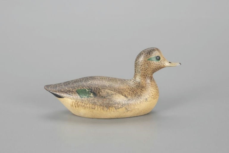 George Boyd – Exceedingly Rare Miniature Wigeon – 2023