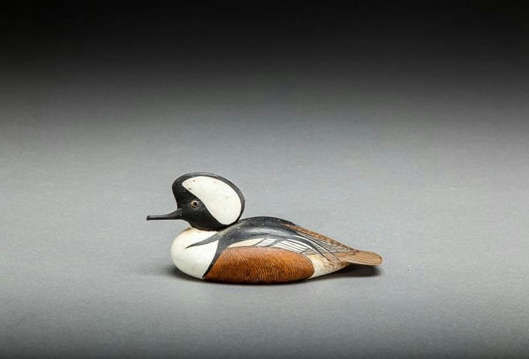 Bob Kerr – Miniature Hooded Merganser Drake – 2014