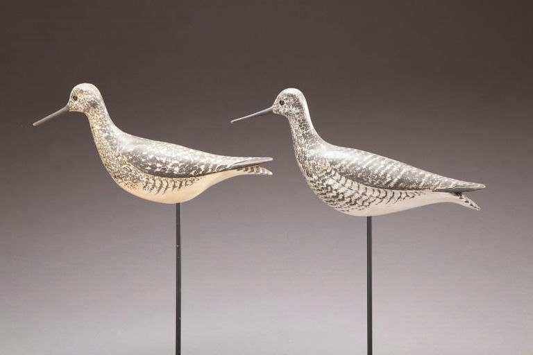 Steve Morey – Yellowlegs and Willet – 2013