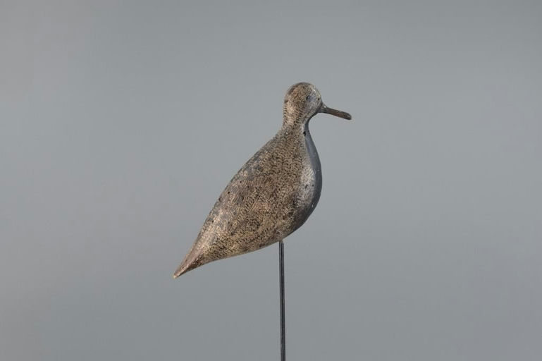 Verity Family – Plover – 2025