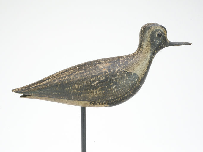 George Boyd – Black Bellied Plover – 2023