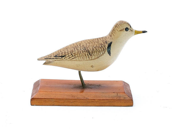 George Boyd – Plover – 2025
