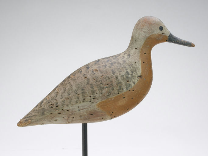Harry V. Shourds – Snipe – 2024