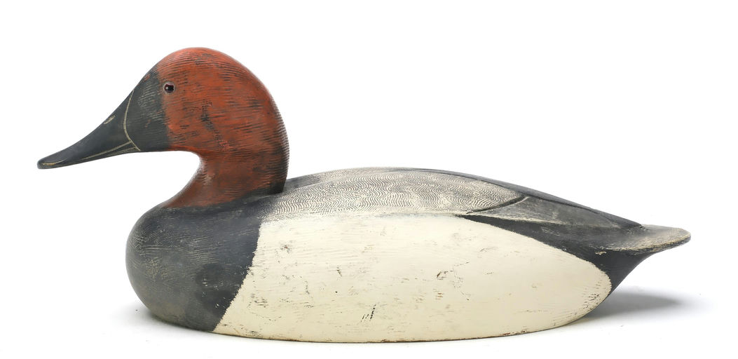 Ken Anger – Canvasback – 2025
