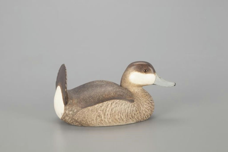 Harold Haertel – Ruddy Duck – 2022