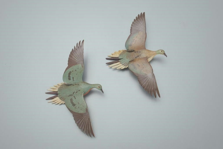James Joseph Ahearn – Two Miniature Passenger Pigeons – 2021