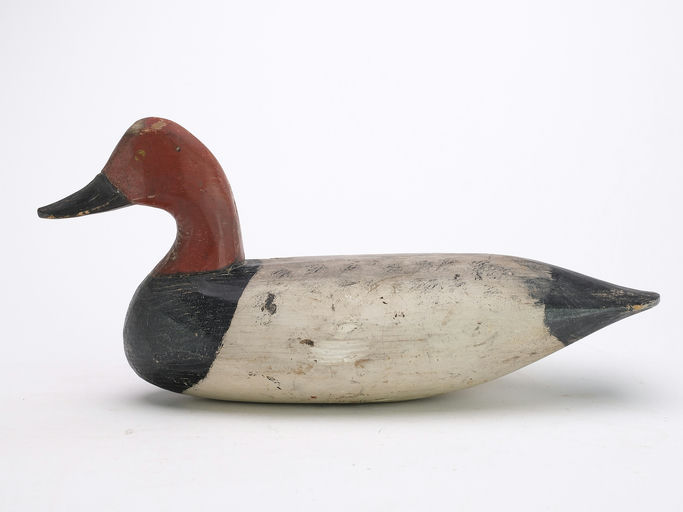 Doug Jester – Canvasback – 2024