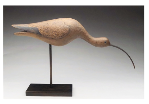 Mark McNair – Feeding Curlew – 2019