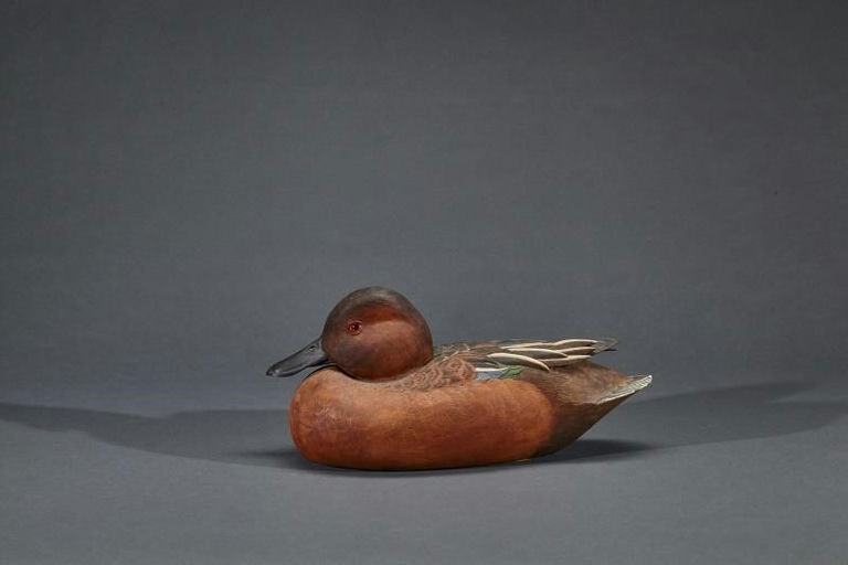Peg Lawrence – Cinnamon Teal – 2017