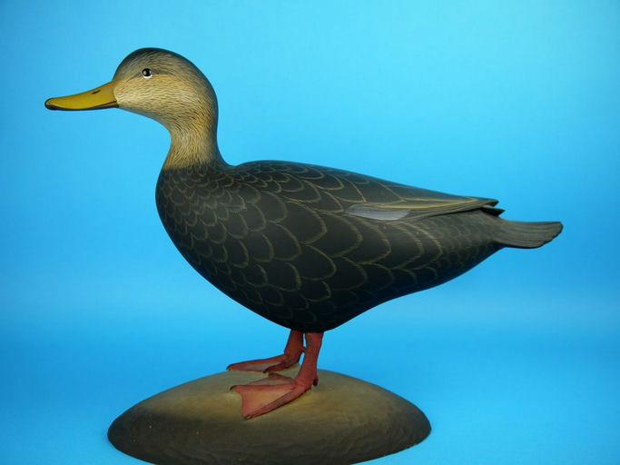 George Strunk – Black Duck – 2026