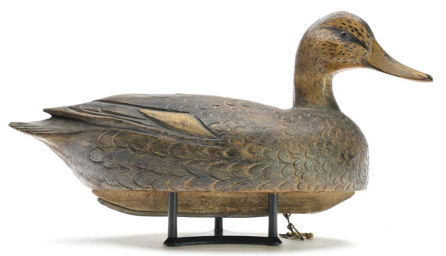Ben Schmidt – Black Duck – 2025