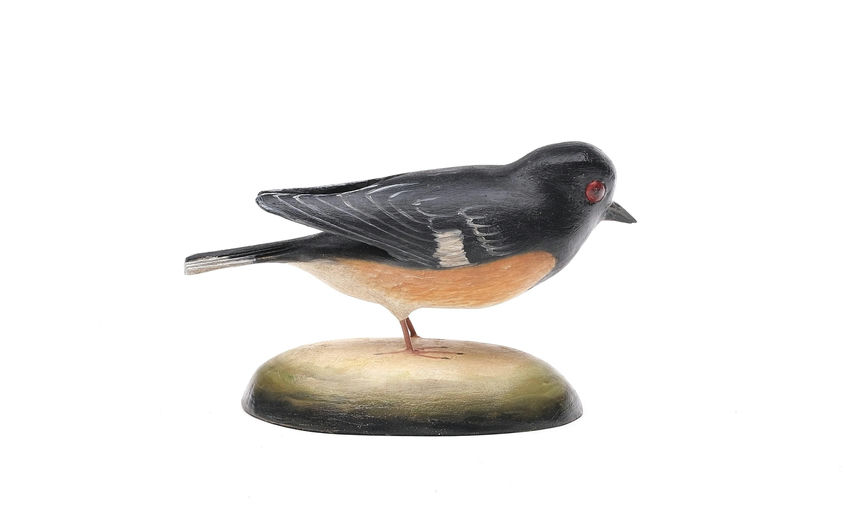 Frank Finney – Rufous-sided Towhee – 2026