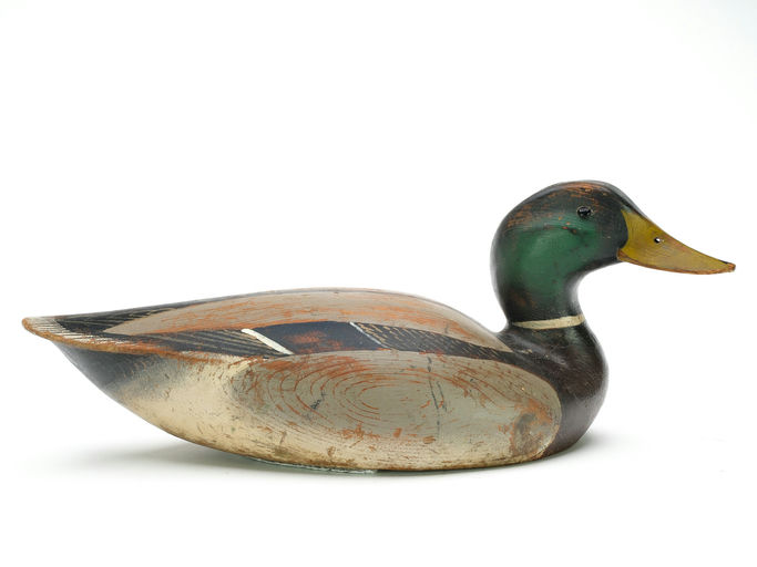 Ward Brothers – Mallard – 2025