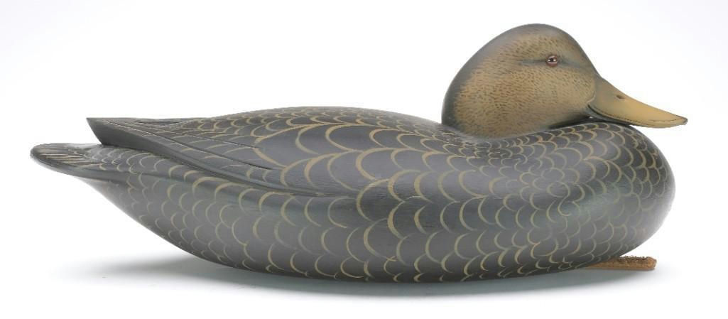 Sean Sutton – Black Duck – 2023