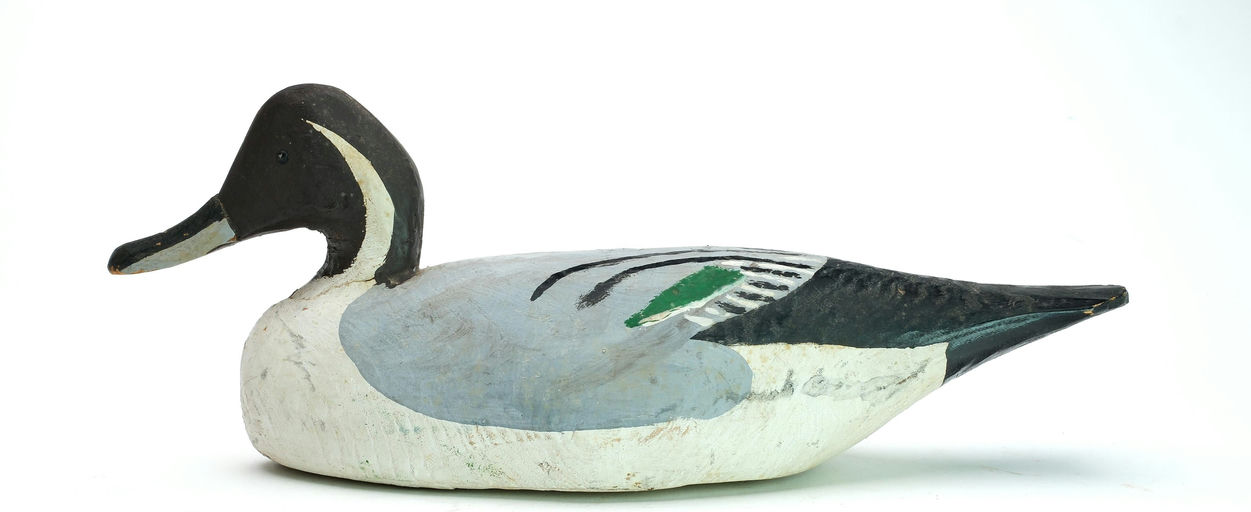 Miles Hancock – Pintail – 2025