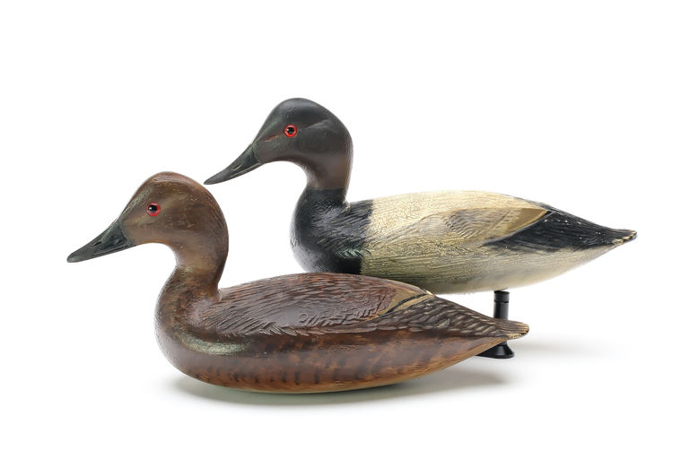 Chauncey Wheeler – Canvasback – 2025