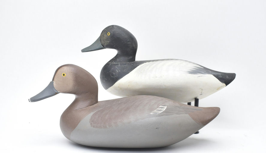 R. Madison Mitchell – Pair of Bluebills – 2025