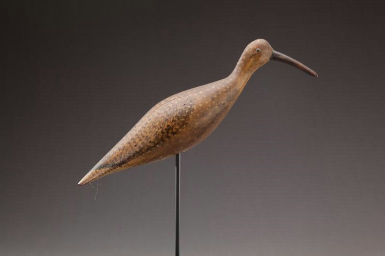 Al Ketcham – Hudsonian Curlew – 2012