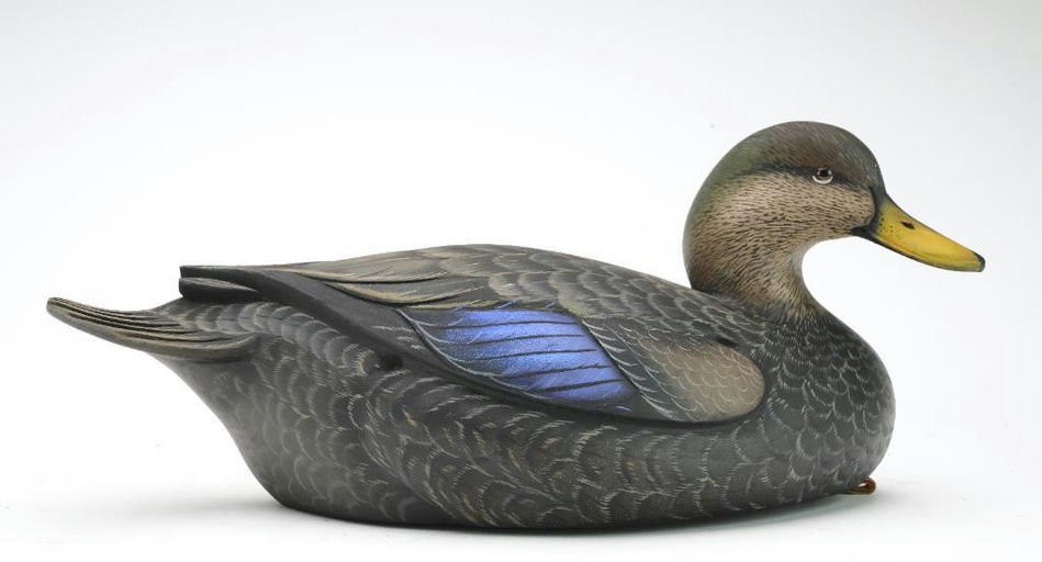 Sean Sutton – Black Duck – 2024