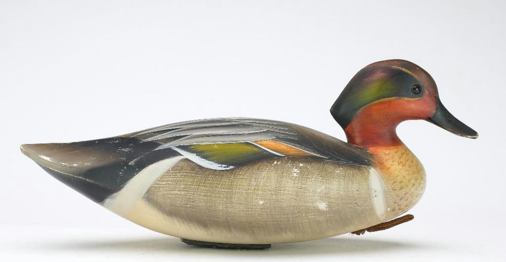 Sean Sutton – Green-winged Teal – 2024