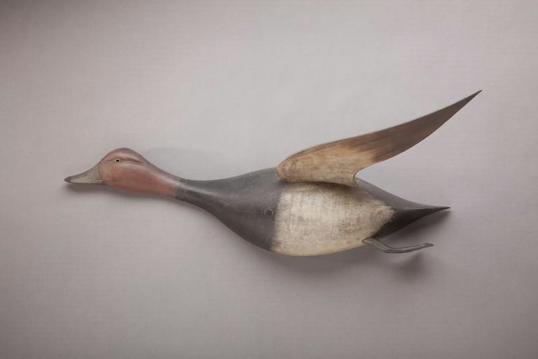 Chauncey Wheeler – Flying Redhead Drake – 2012