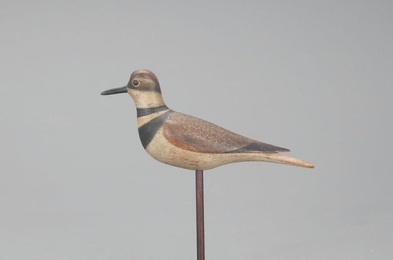Mark McNair – Killdeer – 2021