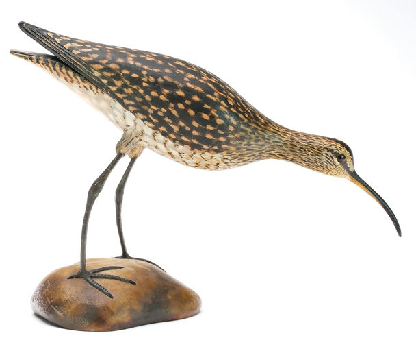 Elmer Crowell – Curlew – 2025