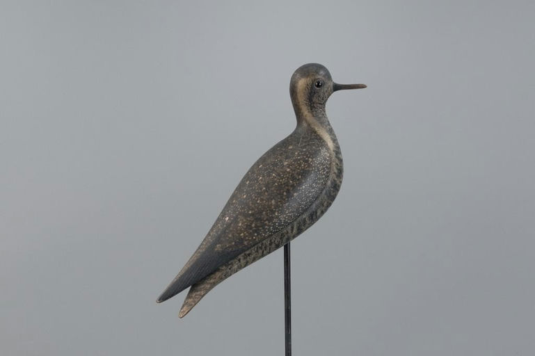 Mark McNair – Turned-Head Golden Plover – 2025