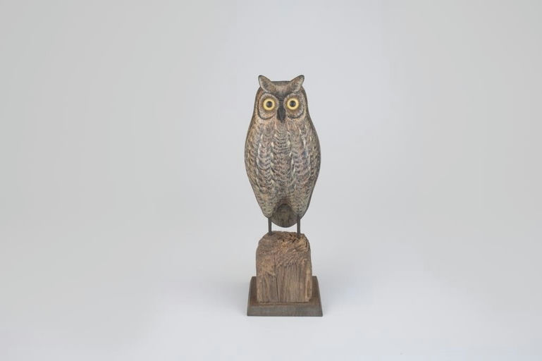 David Ward – Screech Owl – 2026