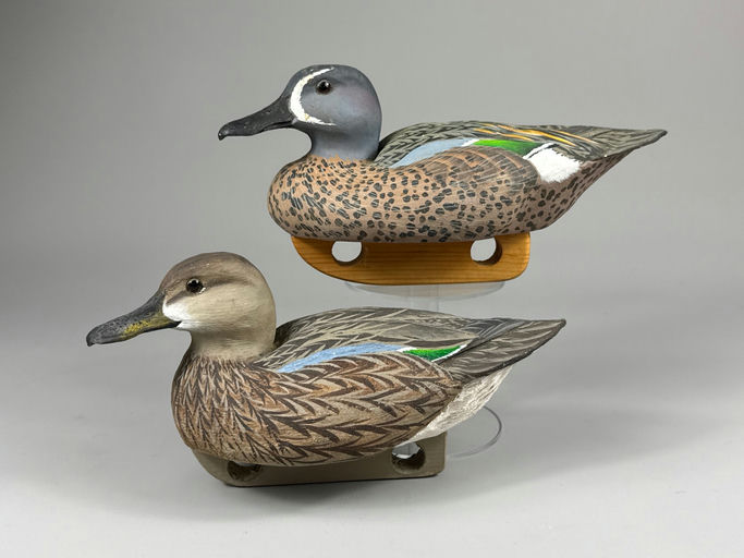 Dan Brown – Blue-winged teal – 2026