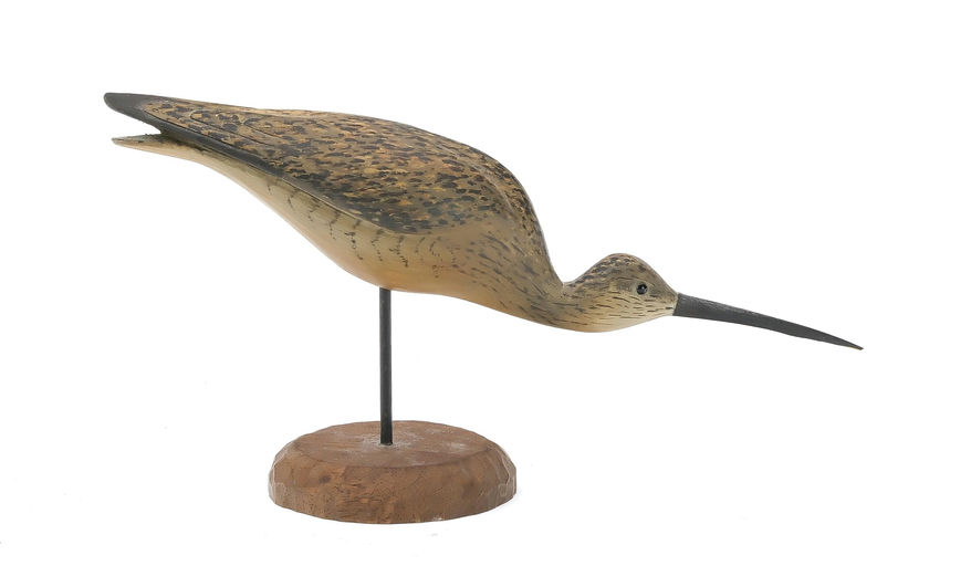 Bill Gibian – Miniature Curlew – 2025