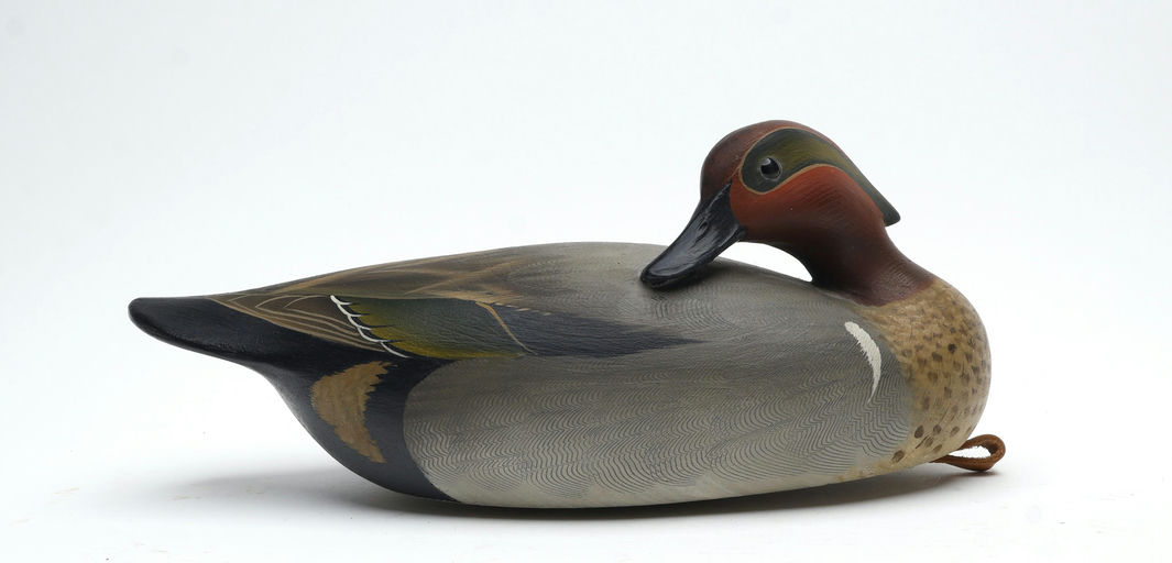 George Strunk – Preening Green-winged Teal – 2026