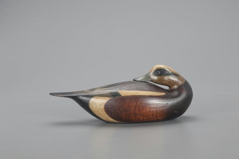 Mark McNair – Preening Wigeon – 2021