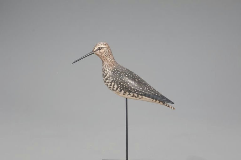 Elmer Crowell – Rare Willet – 2021