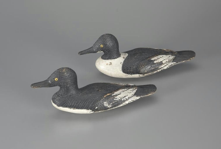 Samuel R. Hutchings – Cross-Hatched Goldeneye Pair – 2024