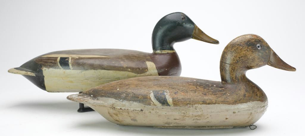Robert Elliston – Pair of Mallard – 2023