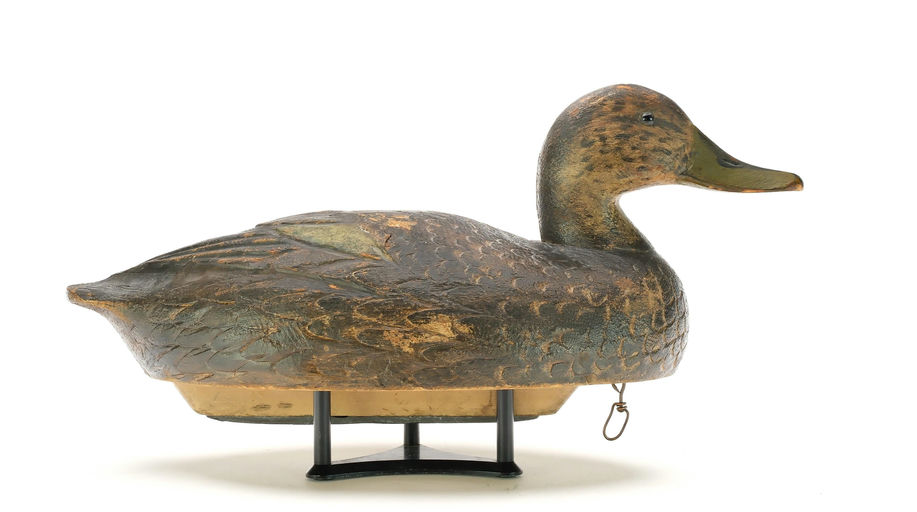 Ben Schmidt – Black Duck – 2025