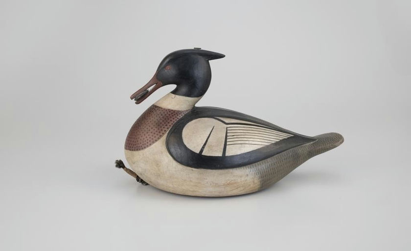 Mark McNair – High-Tri Merganser Drake with Mussel – 2026