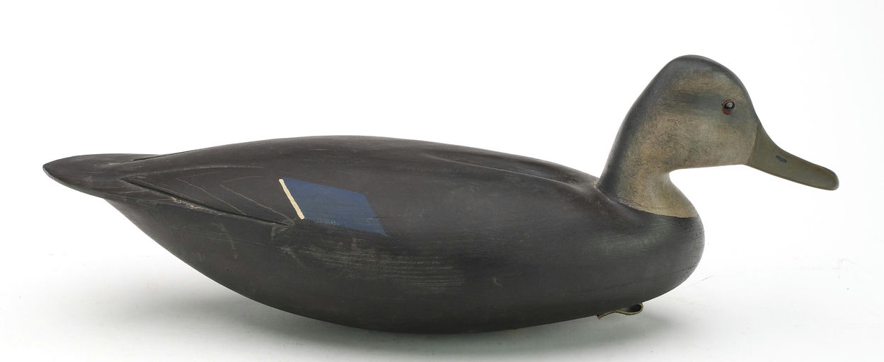 Hurley Conklin – Black Duck – 2024