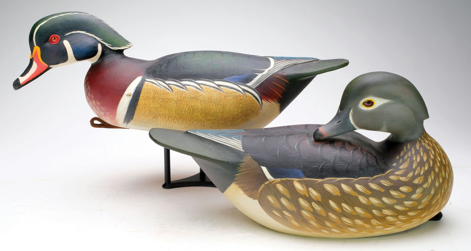Ben A. Heinemann – Wood Duck – 2024