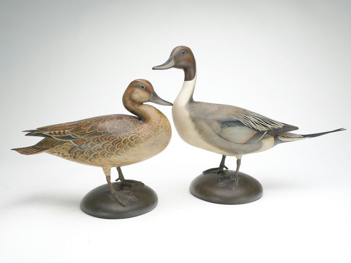 Bill Gibian – Pair of Pintail – 2023
