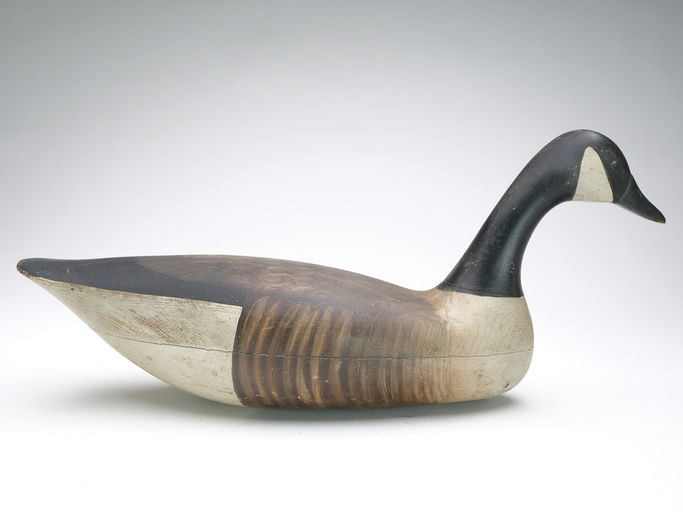 Harry V. Shourds — Canada Goose