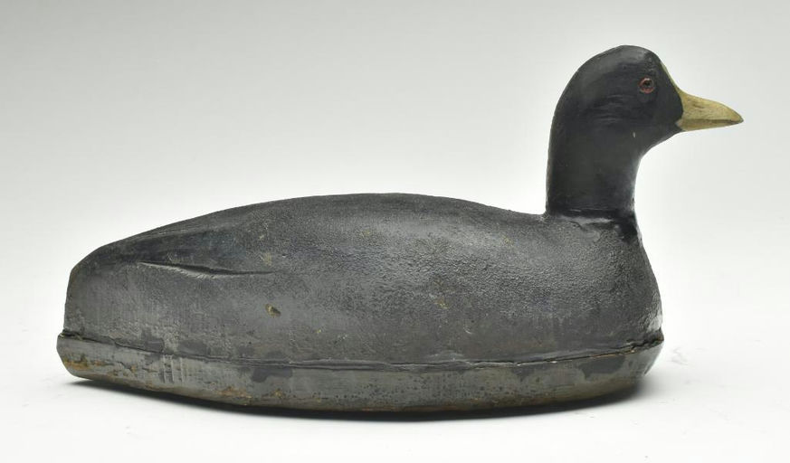 Tom Schroeder – Coot – 2023