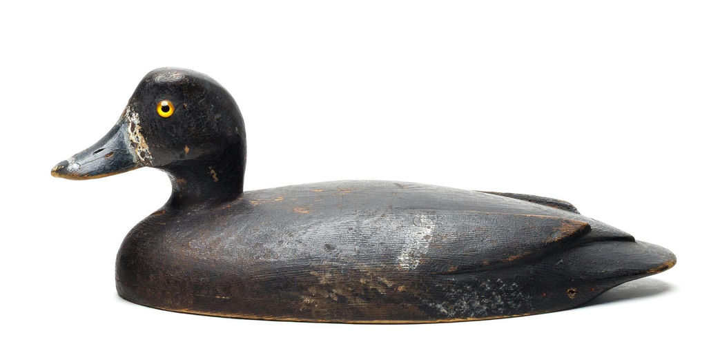 D.K. Nichol – Scaup – 2026