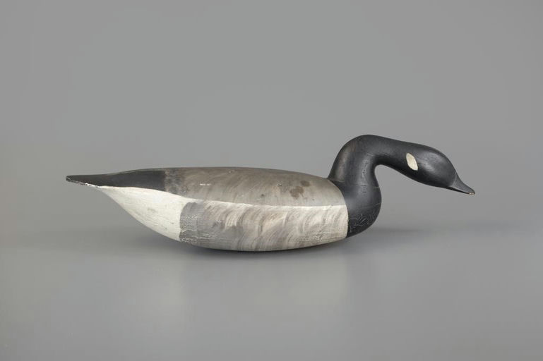 Hurley Conklin – Swimming Brant – 2025