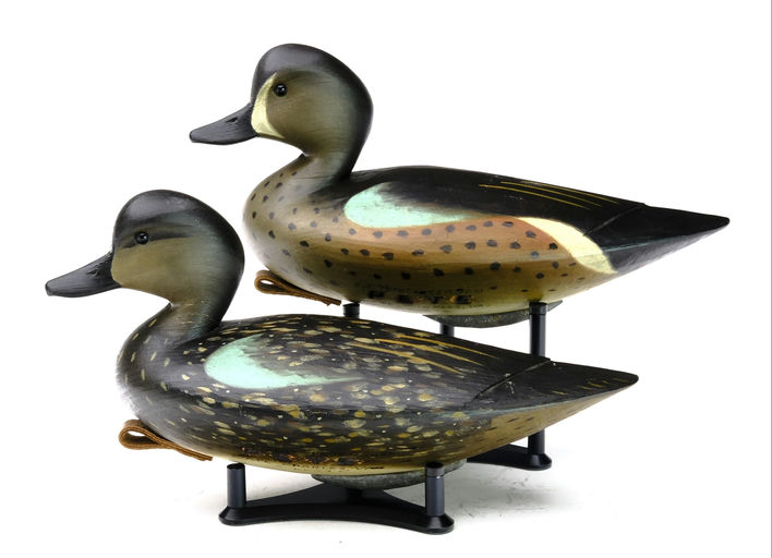 Pete Peterson – Pair of Blue-winged Teal – 2023