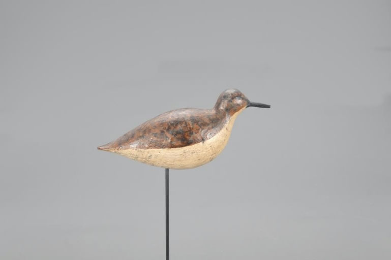 Fieldy Dize – Ruddy Turnstone Or "sea Robin" – 2021