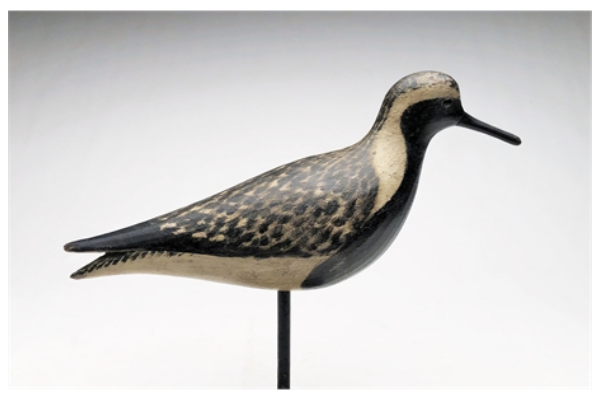 Mark McNair – Black Bellied Plover – 2022